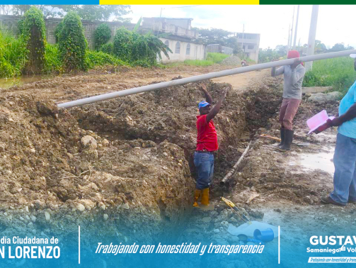 photo_2025-04-15_15-46-25