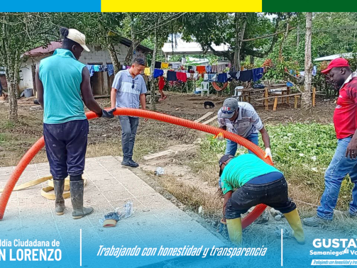 photo_2025-06-04_09-00-35