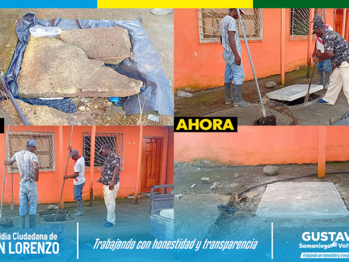 photo_2025-06-11_18-46-54