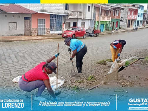 photo_2025-06-17_15-09-37