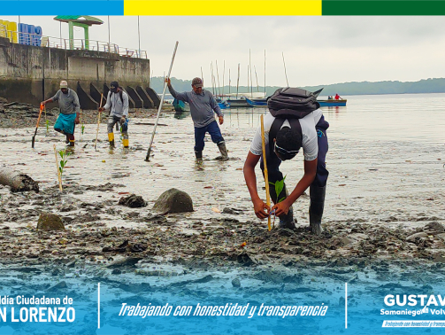 515490782_650140301427560_5121599393377694270_n