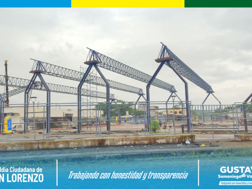 photo_2025-11-24_16-51-30