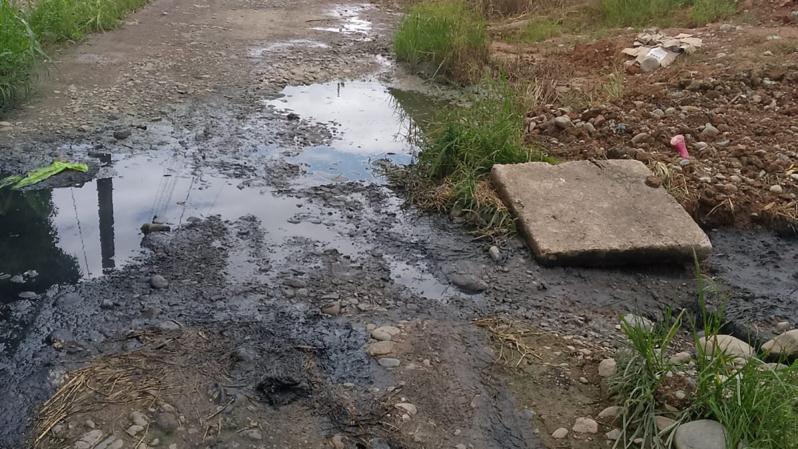 59cf5508-d535-42ca-a7ea-04a57ec0683f