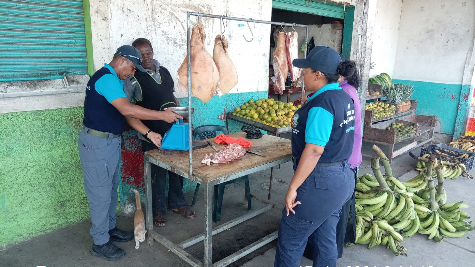 674772802_865719746536280_3114748065650219770_n